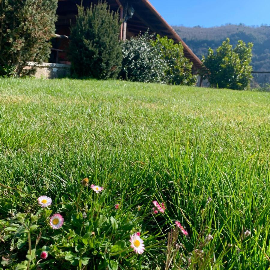 Agriturismo Le Grotte Villa Nemi Buitenkant foto