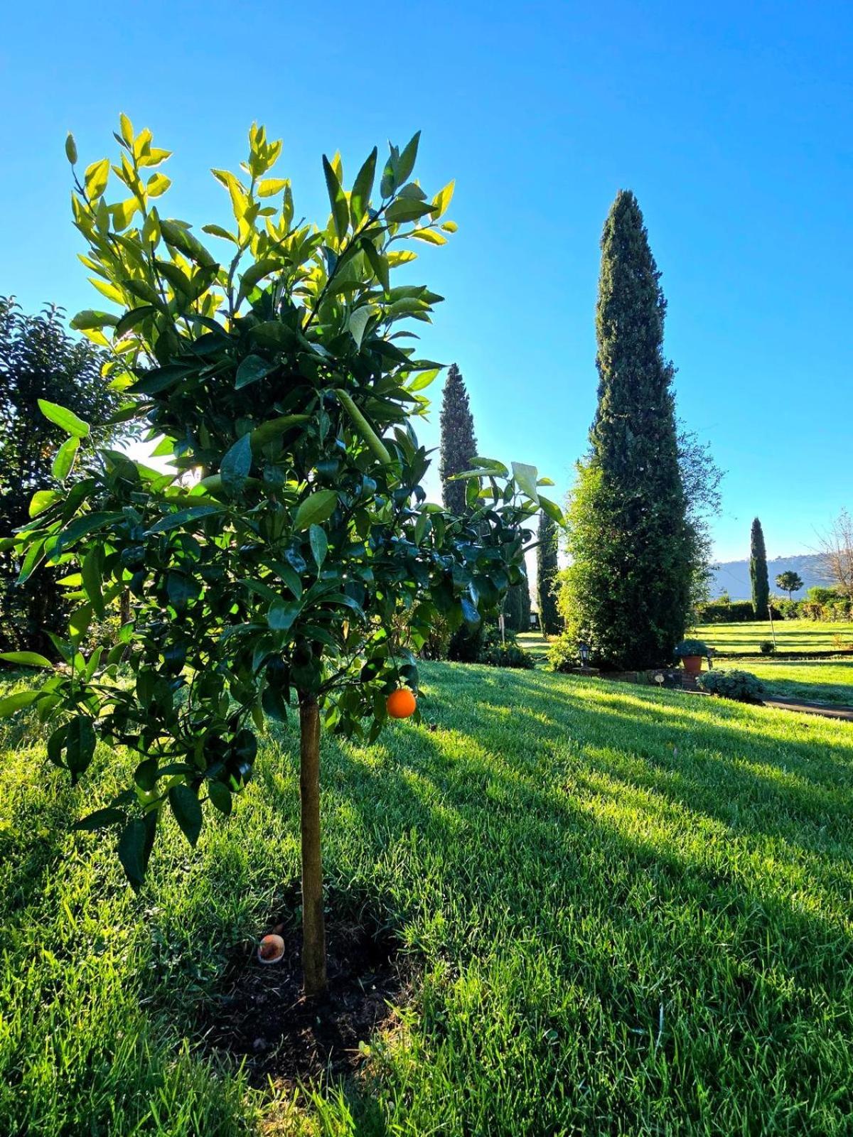Agriturismo Le Grotte Nemi Buitenkant foto