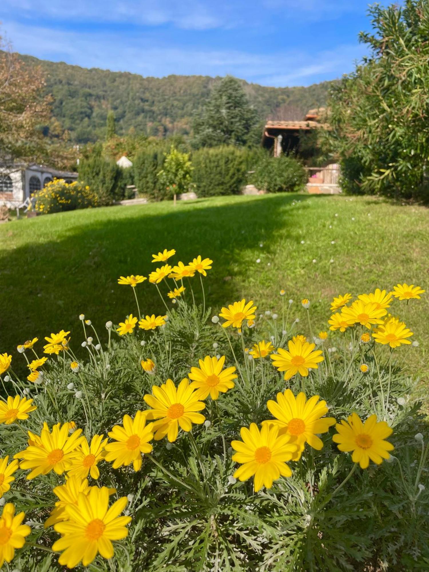 Agriturismo Le Grotte Nemi Buitenkant foto